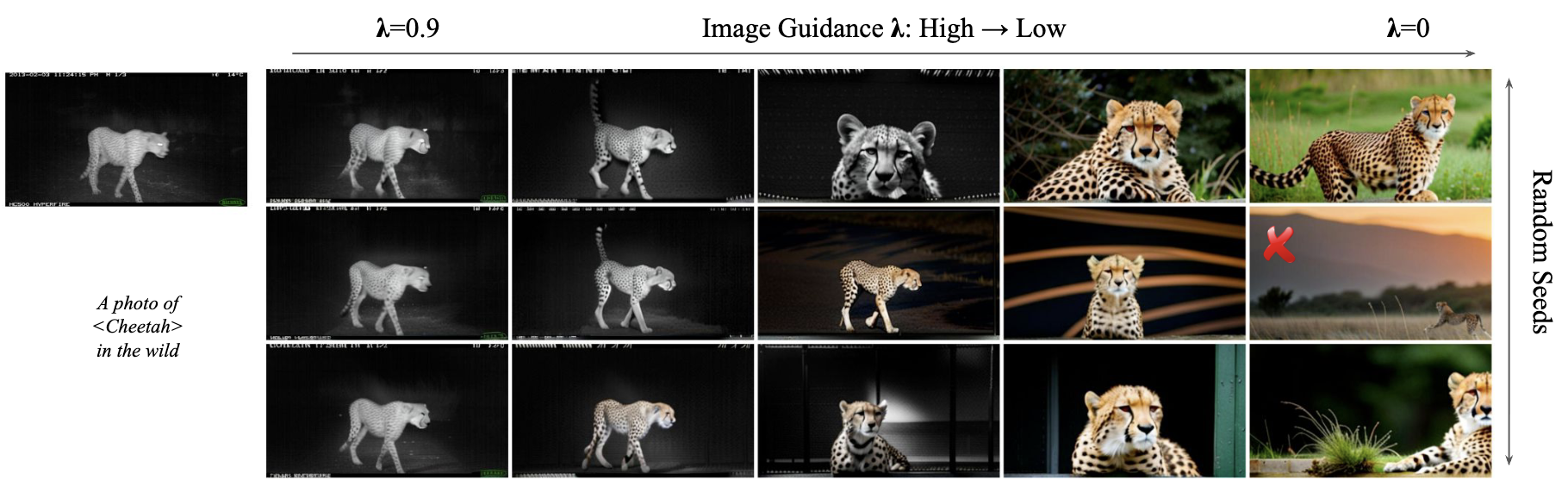 Spectrum of Images generated with image guidance